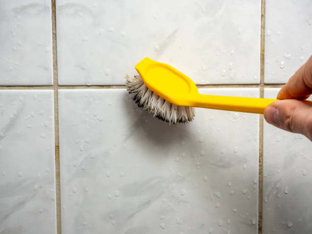 Best Attic Mold Removal  in Mill City, OR