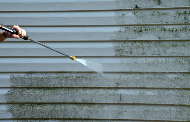 Best Emergency Mold Removal  in Mill City, OR