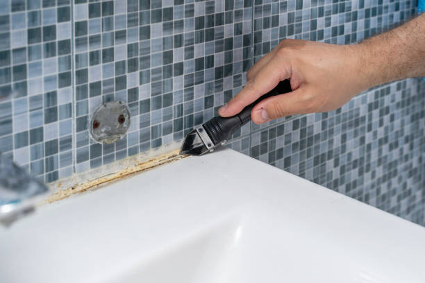 Mold Removal Process in Mill City, OR