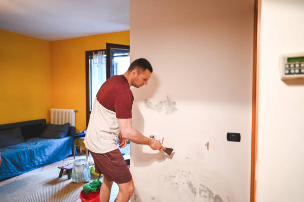 Best Best Mold Removal Companies  in Mill City, OR